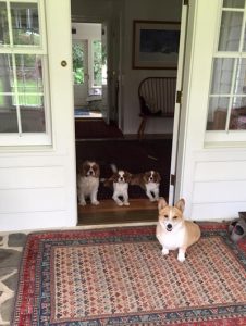 Ruby and her lawyers.