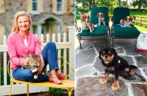Lisa Scottoline and pets