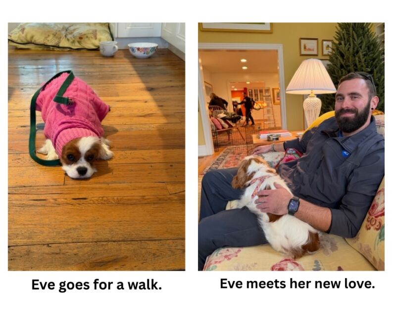 Image for the Tweet beginning: Naughty or Nice?
By Lisa Scottoline

Click