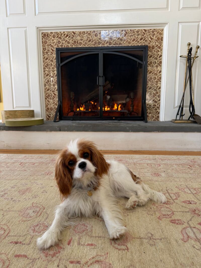 Image for the Tweet beginning: Happy New Year from my