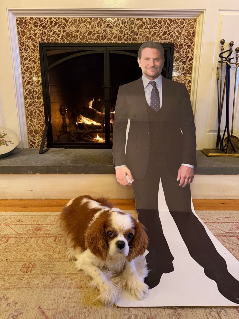 Image for the Tweet beginning: The ⁦@Eagles⁩ are in the